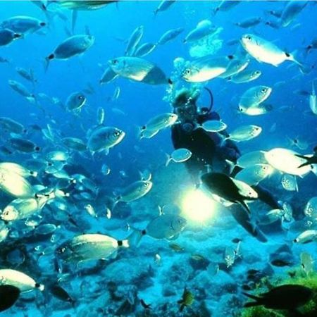 Bajo Playazo Jimena 6 Διαμέρισμα Nerja Εξωτερικό φωτογραφία