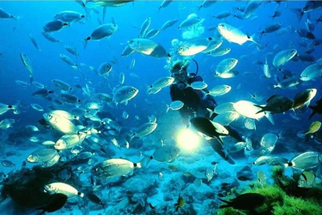 Bajo Playazo Jimena 6 Διαμέρισμα Nerja Εξωτερικό φωτογραφία